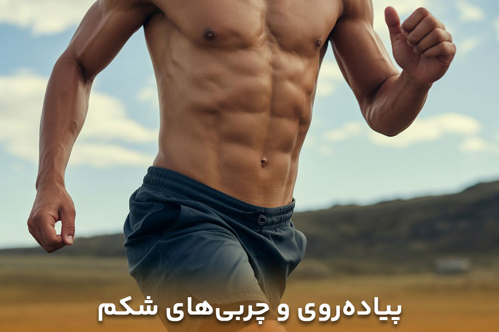 تصویر از شکم تخت یک ورزشکار که نشان می دهد پباده روی کدام قسمت بدن را لاغر میکند چربی شکم هم جزوی از آن