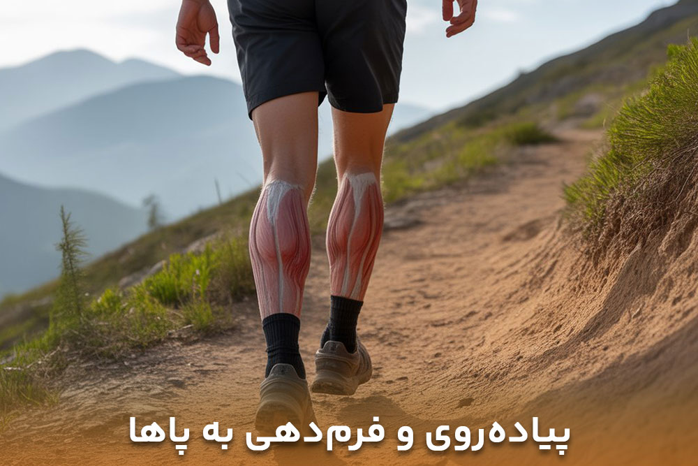 پیاده روی و فرم دهی حالا پباده روی کدام قسمت بدن را لاغر میکند