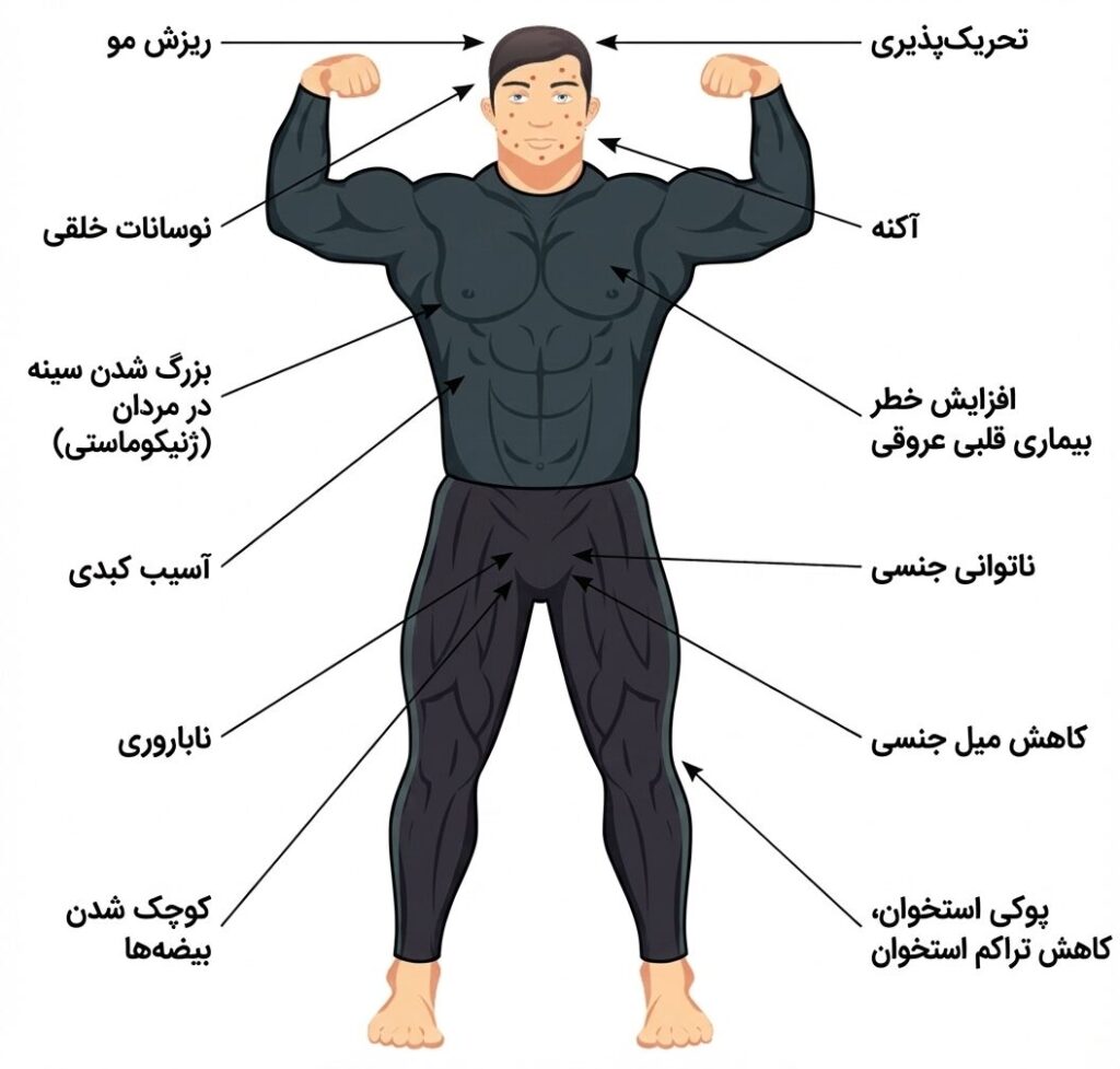 اثرات مکمل های بدنسازی بر روی بدن