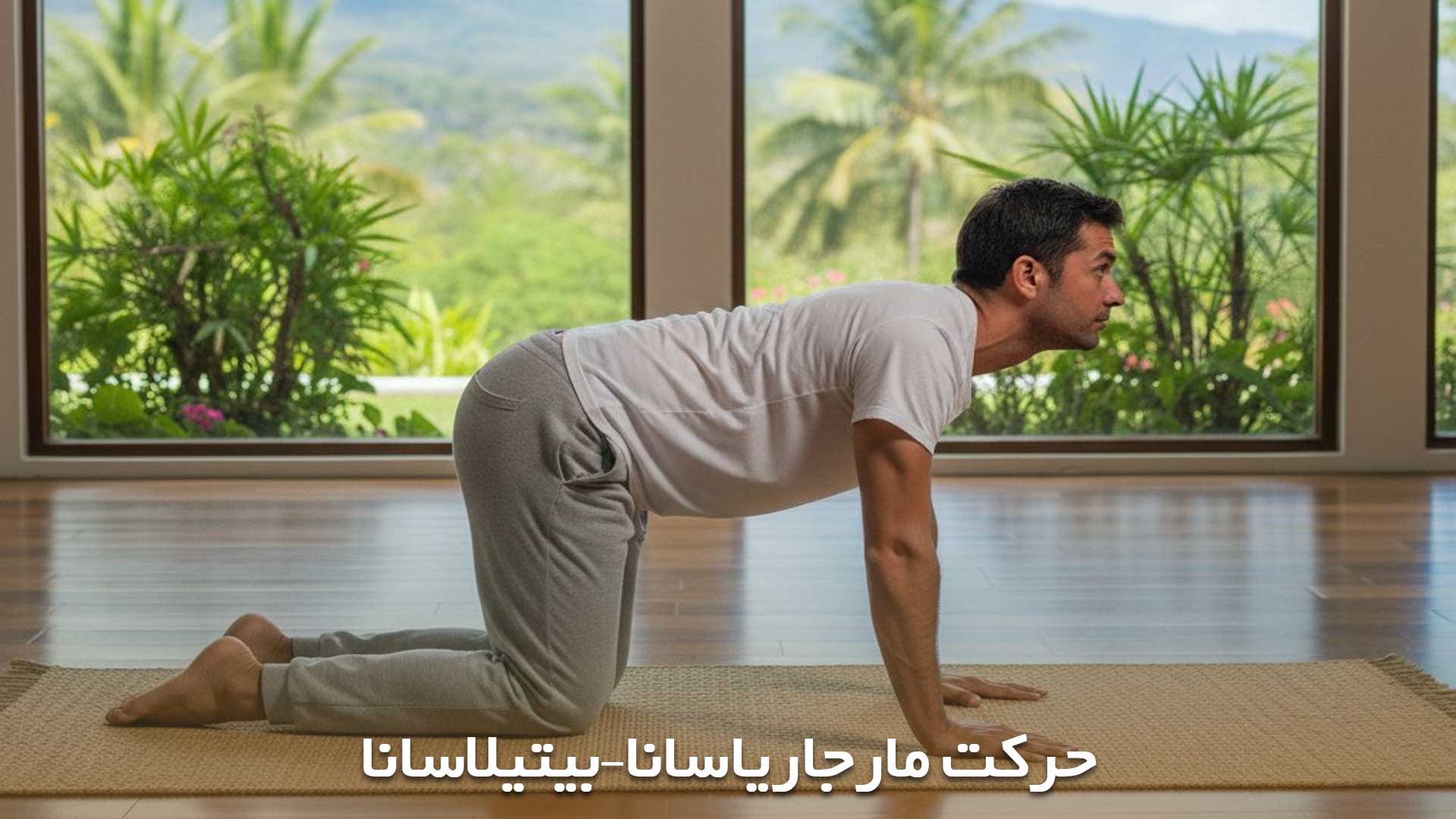 حرکت مارجاریاسانا–بیتیلاسانا یوگا