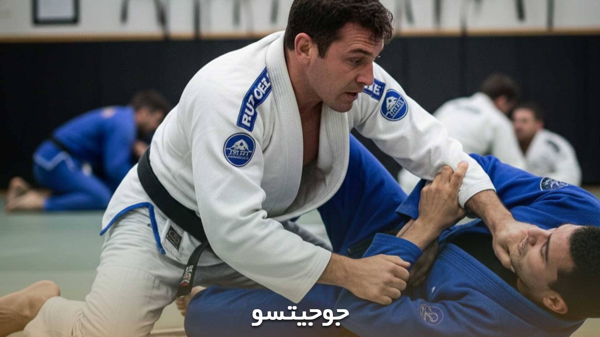 نمایش ورزش جوجیتسو