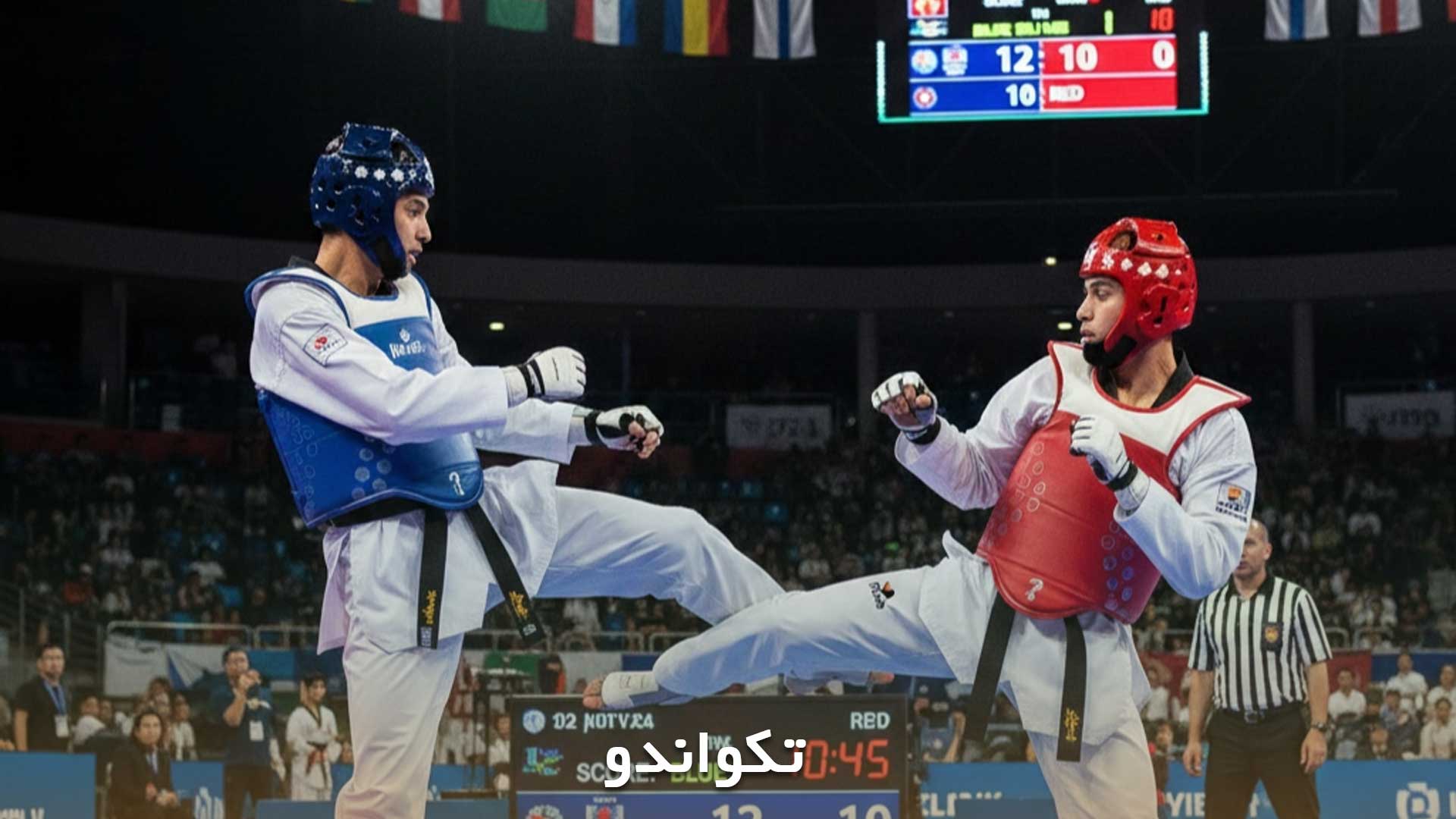 نمایش ورزش تکواندو