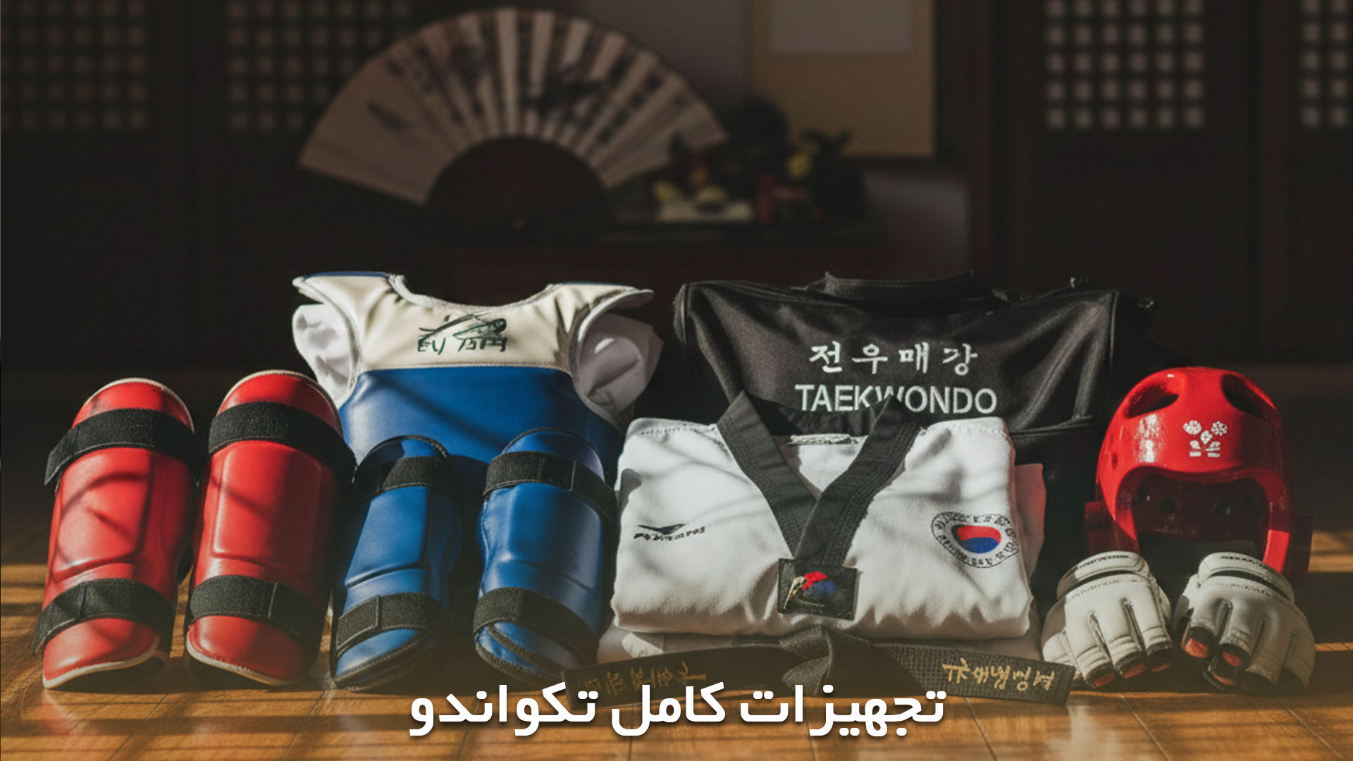 تجهیزات کامل تکواندو برای اجرای فرم ها به شکل درست