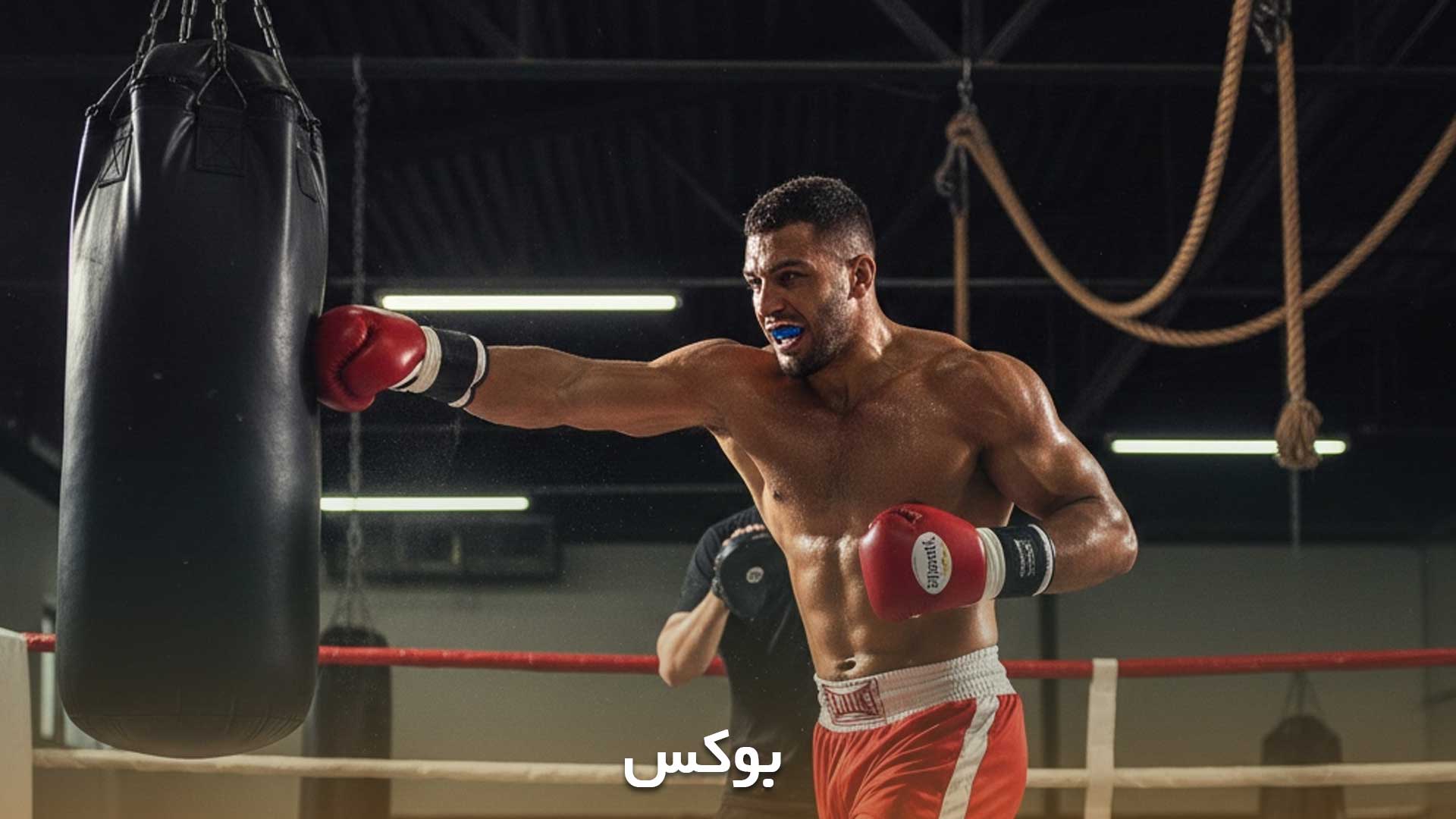 نمایش ورزش بوکس