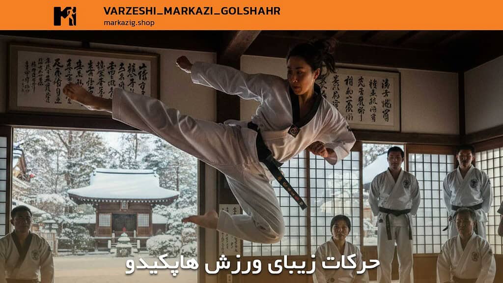 آموزش هاپکیدو؛ راهنمای جامع و عمیق یادگیری دفاع شخصی از پایه تا سطح حرفهای 1 حرکات زیبای ورزش هاپکیدو