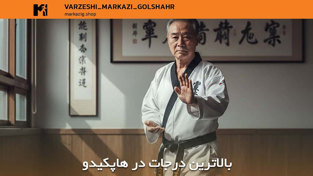 آموزش هاپکیدو؛ راهنمای جامع و عمیق یادگیری دفاع شخصی از پایه تا سطح حرفهای 2 درجات بسیار بالا در ورزش هاپکیدو