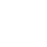 روچی