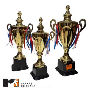 کاپ قهرمانی سری سه عددی کد 2081