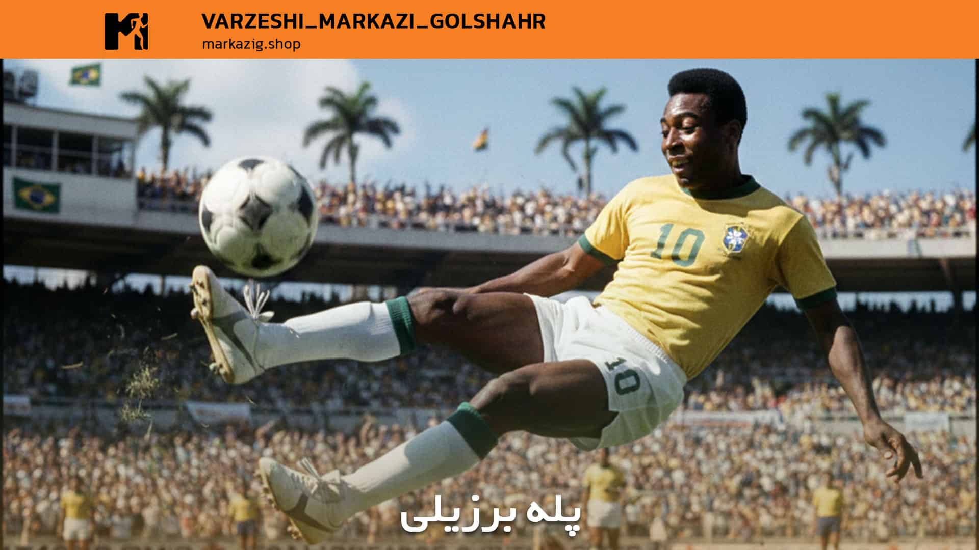 عکس پله برزیلی
