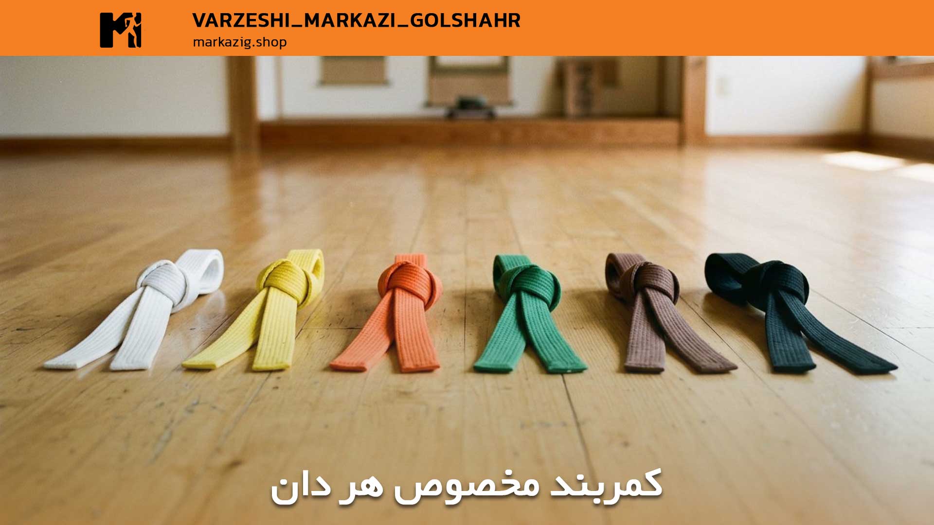 مقاله جامع دانهای کاراته: راهنمای کامل مراحل و معانی 1 کمربند مخصوص هر دان