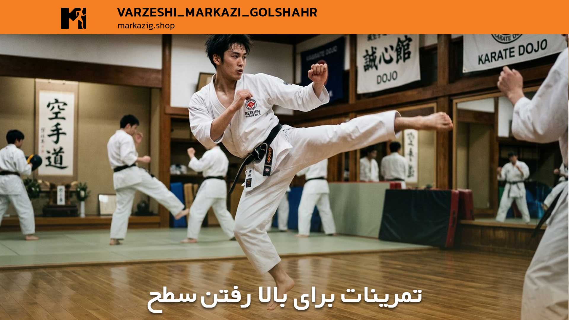 مقاله جامع دانهای کاراته: راهنمای کامل مراحل و معانی 5 تمرینات برای بالا رفتن سطح